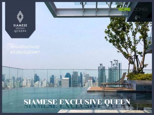 Siamese Exclusive Queens