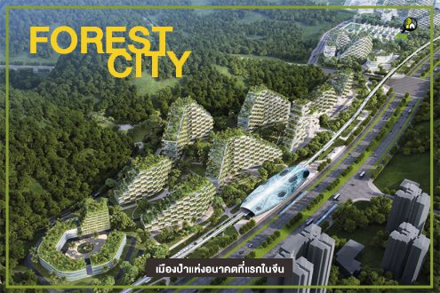 forest city