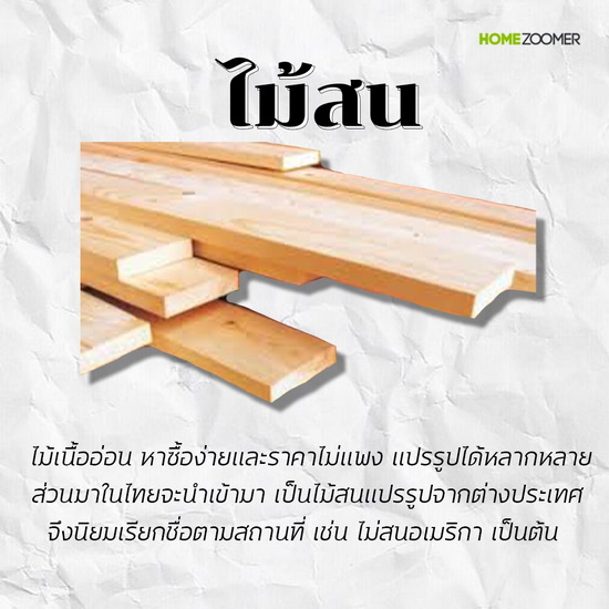 ทำความรู้จักไม้แต่ละชนิด ไม้แบบไหนเหมาะกับบ้านของเรา