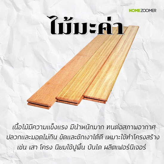 ทำความรู้จักไม้แต่ละชนิด ไม้แบบไหนเหมาะกับบ้านของเรา