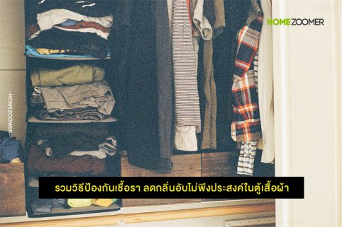 รวมวิธีป้องกันเชื้อรา ลดกลิ่นอับไม่พึงประสงค์ในตู้เสื้อผ้า