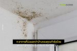 4 อาการที่บ่งบอกว่าบ้านของคุณกำลังป่วย