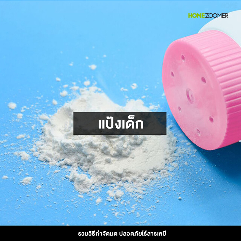 รวมวิธีกำจัดมด ปลอดภัยไร้สารเคมี