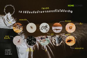 10 วิธีป้องกันบ้านจากแขกที่ไม่ได้รับเชิญ