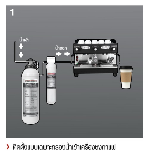 สตีเบล เอลทรอน