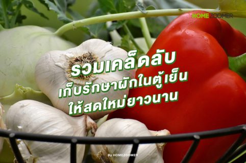 รวมเคล็ดลับเก็บรักษาผักในตู้เย็น ให้สดใหม่ยาวนาน