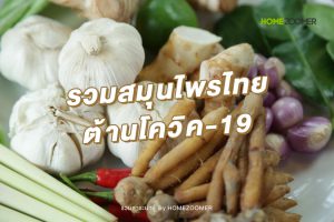 รวมสมุนไพรไทย ต้านโควิค-19