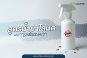 รวมสูตรน้ำยาไล่มดที่สามารถทำเองได้ หมดปัญหาเรื่องมดกวนใจ