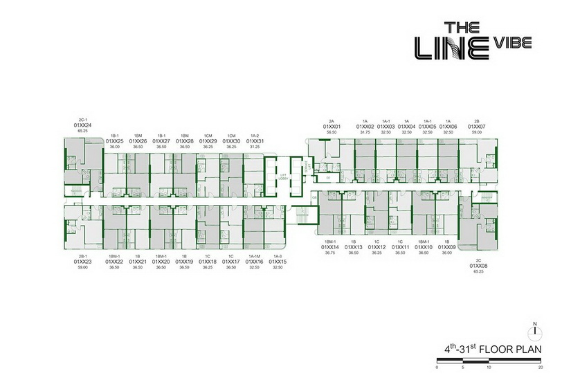 เดอะ ไลน์ ไวบ์ THE LINE VIBE