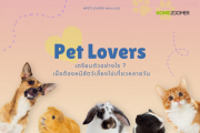 Pet Lovers