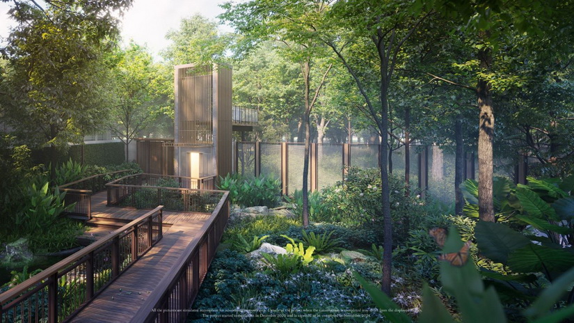 6. Six Senses - Lift to forest view_resize