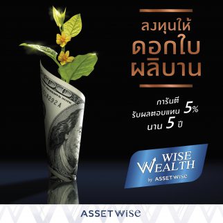 Wise Wealth Program