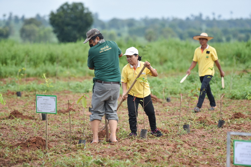 ศุภาลัย ชวนพันธมิตรธุรกิจ “สร้างดี” เพิ่มพื้นที่ป่าชุมชน จ.นครราชสีมา พร้อมตั้งเป้าลดคาร์บอนฟุตพริ้นท์ 25% ใน 3 ปี