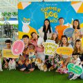 เมเจอร์ ดีเวลลอปเม้นท์ เปิดปาร์ตี้ ชวนน้องหมาเล่นน้ำคลายเครียด  MAJOR SUMMER DOG PAWTY