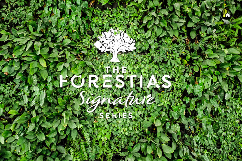 รีวิว เดอะ ฟอเรสเทียส์ ซิกเนเจอร์ ซีรีส์ (The Forestias Signature Series)