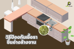 วิธีป้องกันเชื้อราขึ้นอ่างล้างจาน